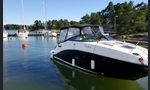 Sea Ray 265-kuva-1